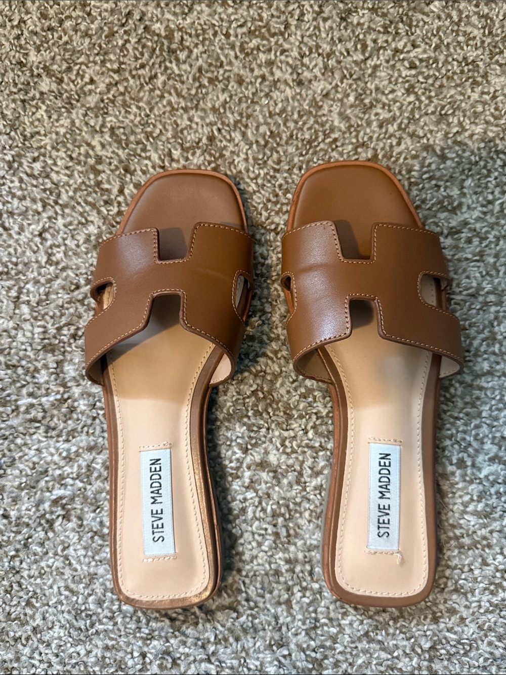 Steve Madden Women's Hadyn Sandal